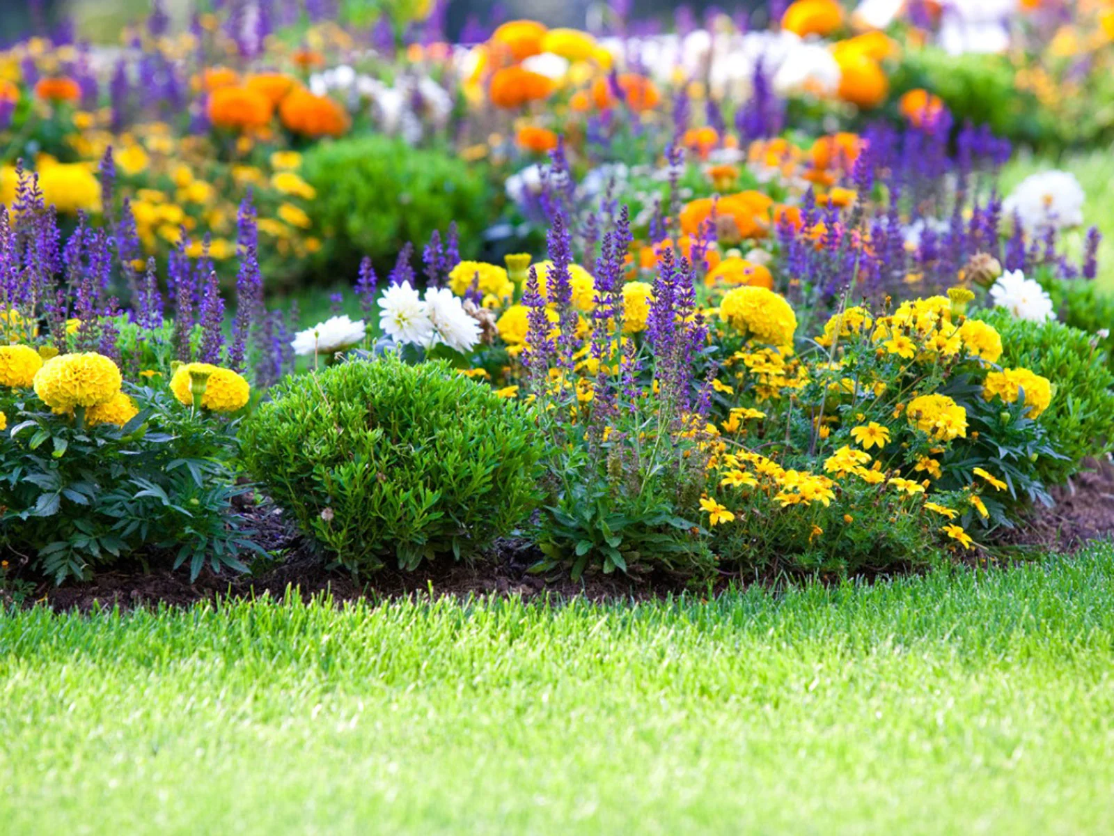 jardin 6 trabajo de jardineria 6 cantabria